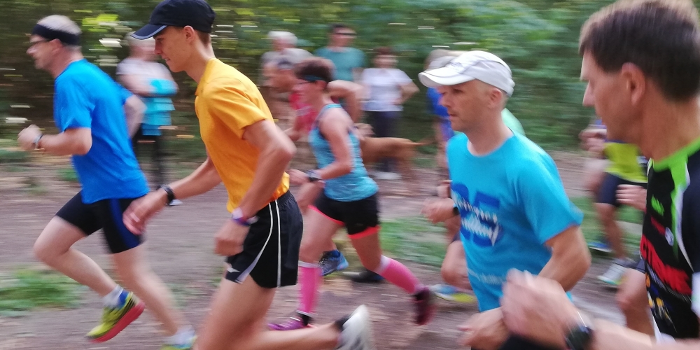 Abendlauf 2019