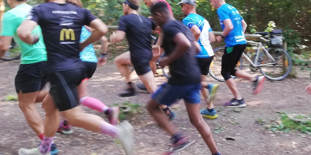Abendlauf 2019